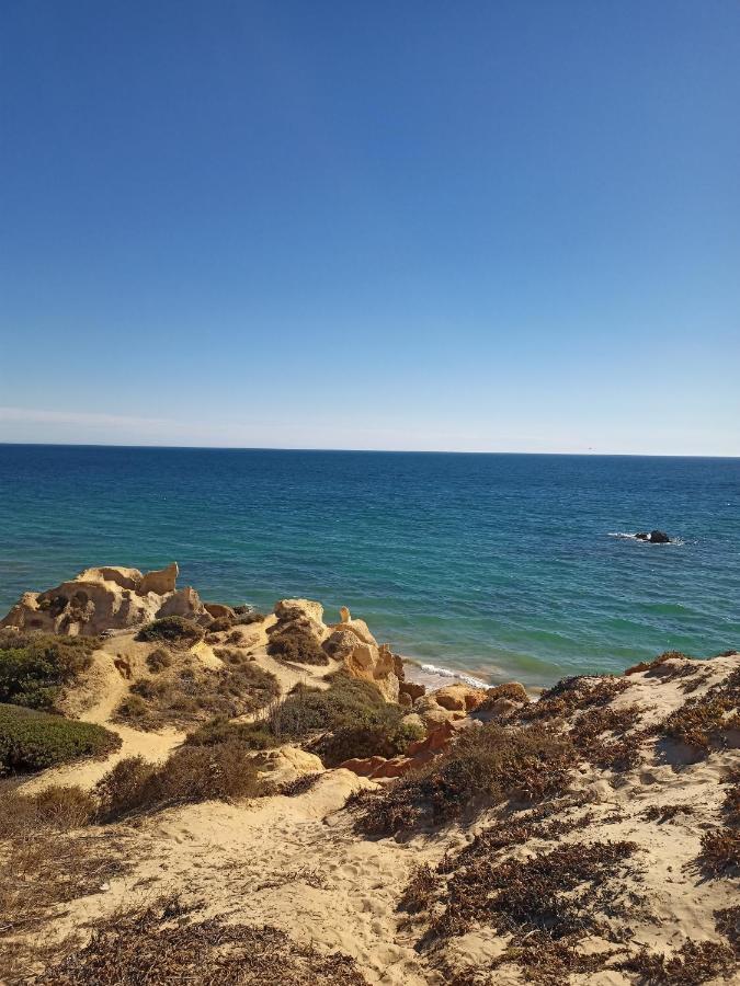 Charming V2 Next To Ocean, Golf & Natural Reserve Albufeira Dış mekan fotoğraf